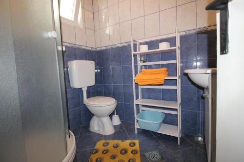 Zastražišće的住宿－Apartments by the sea Cove Vela Stiniva, Hvar - 17075，一间带卫生间和水槽的小浴室