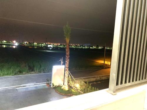 a palm tree in a window of a building at night at Jabez Homestay in Yilan City