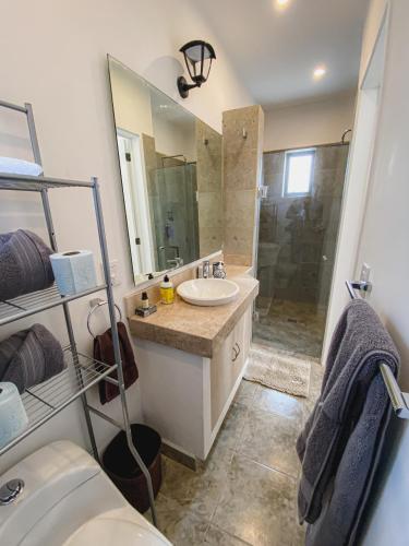 a bathroom with a sink and a shower and a toilet at BELLAS VILLAS, VILLA AMOR HERMOSA CASA a UN ACCECIBLE PRECIO in San Miguel de Allende