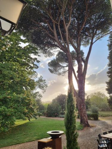 a park with a tree and a table and chairs at La Chapelle aux Acacias in Caucalières