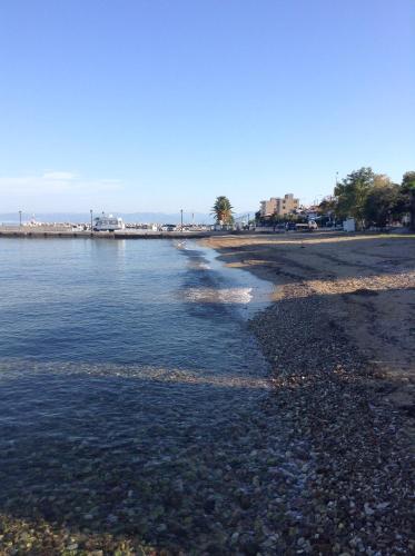 Φυσικό τοπίο κοντά σε αυτό το διαμέρισμα