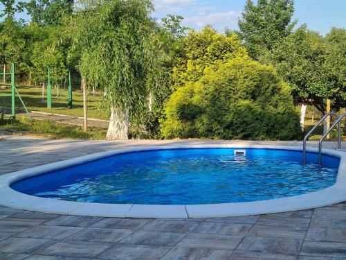 una pequeña piscina con agua azul en un patio en Family friendly house with a swimming pool Nova Kapela, Slavonija - 17313, en Nova Kapela