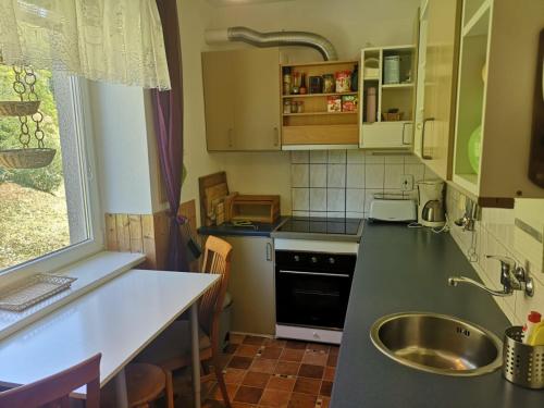 a kitchen with a sink and a counter top at Horský apartmán Krkonoše in Vítkovice