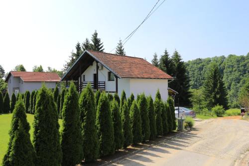 Fotografia z galérie ubytovania Apartments with a parking space Donje Taboriste, Plitvice - 17527 v destinácii Slunj