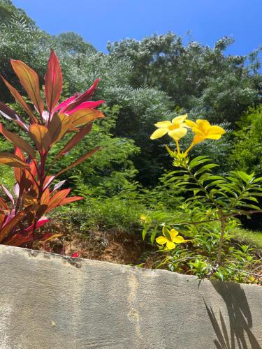 Taman di luar Kanasuk Self catering Apartments