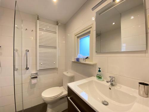Un baño con inodoro, lavabo y espejo. en Op 't Landtweg 26, en Callantsoog