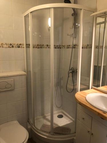 y baño con ducha, aseo y lavamanos. en studio 6 Versoie avec parking, en Thonon-les-Bains