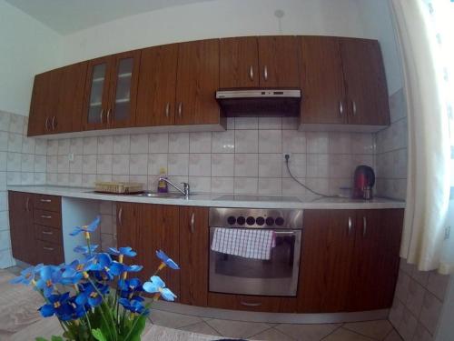 Kuchyň nebo kuchyňský kout v ubytování Apartments with a parking space Irinovac, Plitvice - 17376