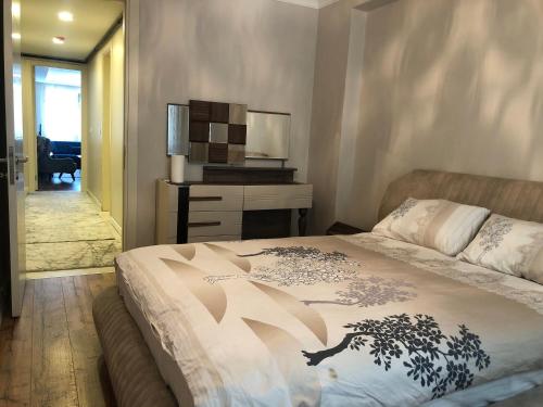 伊斯坦堡的住宿－Alsama Apart No 88，一间卧室配有一张床、一张书桌和一台电视