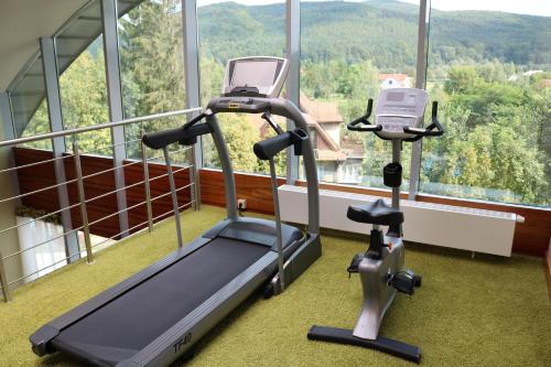 a gym with two treadmills in front of a window at Młyn Jacka Hotel & Spa in Wadowice