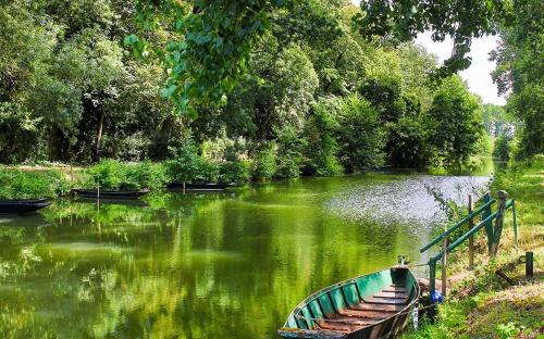 a green boat sitting on the side of a river at Le Carbet Vendéen in Bouillé-Courdault