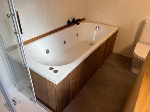 a bath tub in a bathroom with a toilet at Casas rurales Villa la Roza in La Utrera