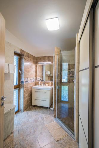 a bathroom with a shower and a sink and a tub at Silver Lodge Siófok in Siófok