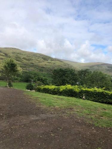 a dirt road in a field with bushes and trees at Mountain House Omeath near Carlingford in Ó Méith