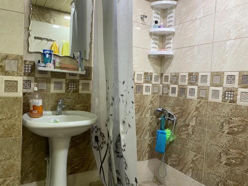 a bathroom with a sink and a shower at Lovely 2-bedroom apartment near AYB school in Dilijan