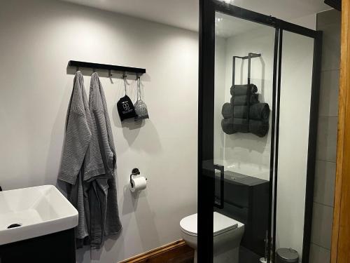 een badkamer met een wit toilet en een wastafel bij Lynbrook Haybarn, Hot tub and outdoor kitchen, New Forest in Ringwood