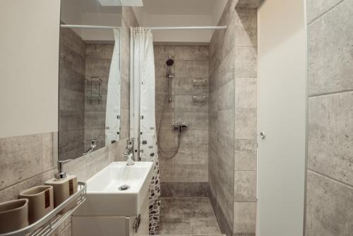 布加勒斯特的住宿－Fancy Penthouse Studio with Lakeview W10，浴室配有白色水槽和淋浴。