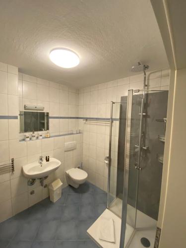 a bathroom with a shower and a toilet and a sink at "Am Yachthafen" in Seedorf