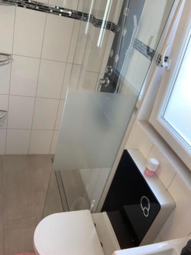 a bathroom with a shower and a white toilet at Ferienwohnung Bella in Hühnerfeld