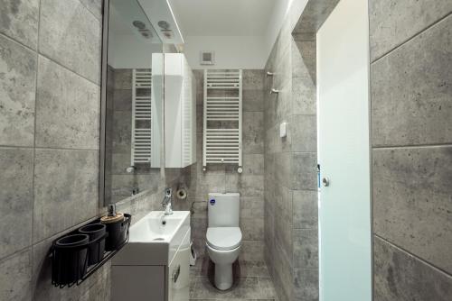 a bathroom with a toilet and a sink and a mirror at Cozy Penthousestudio Cityview W12 in Bucharest
