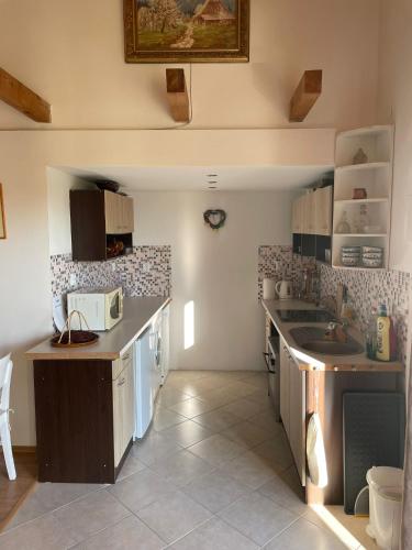 uma cozinha com um lavatório e uma bancada em Apartmán v podhůří Jizerských hor em Železný Brod