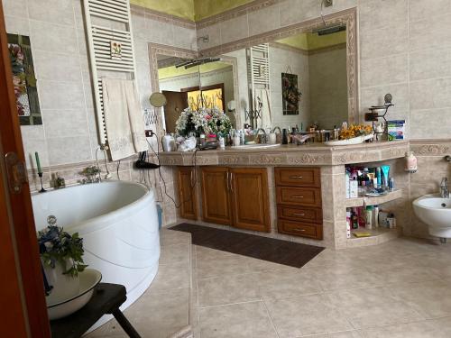 uma casa de banho com uma banheira, um lavatório e um espelho. em La Frasca em Coltaro