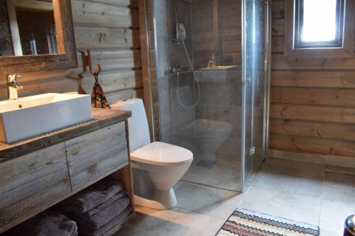 a bathroom with a shower and a toilet and a sink at Trysilsetra 35 in Trysil