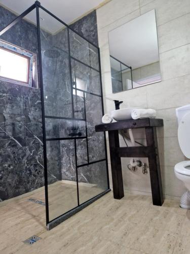 a bathroom with a glass shower and a sink at Complex Dealu' Frumos in Întorsura Buzăului