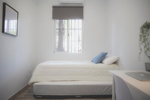 Acogedor apartamento en Triana photo 18