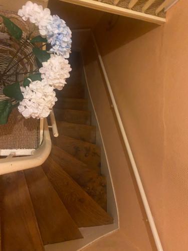 logement central – Photos 4