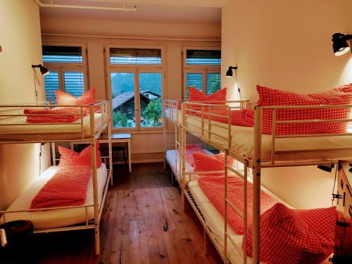 インターラーケンにあるアドベンチャー ホステル インターラーケンの二段ベッド4台、窓が備わる客室です。
