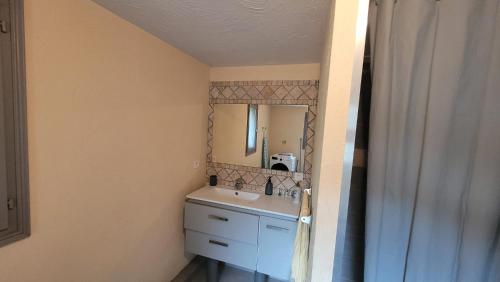 a bathroom with a sink and a mirror at Votre maison en Touraine in Chissay-en-Touraine