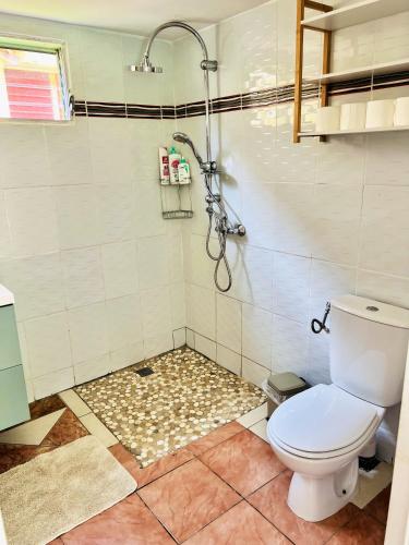 een badkamer met een douche en een toilet bij Appartement de 2 chambres avec jardin et wifi a Petit Bourg in Petit-Bourg