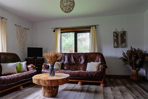 a living room with a leather couch and a coffee table at Siedlisko Liskowate - Bieszczady in Ustrzyki Dolne