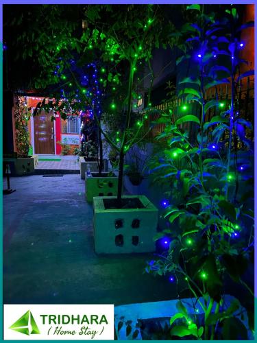 a tree with green lights in a courtyard at Tridhara HomeStay in Guwahati