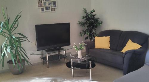 ein Wohnzimmer mit einem Sofa und einem Flachbild-TV in der Unterkunft Apartment Lea in Kassel