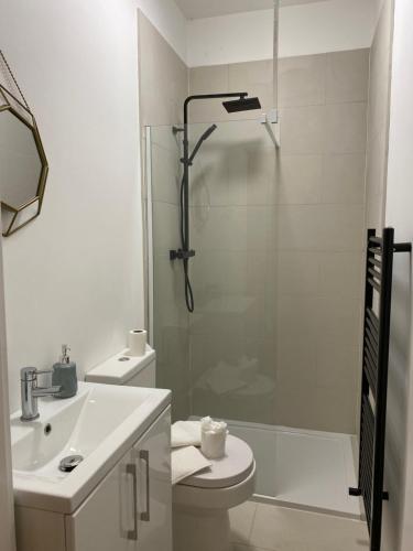 a bathroom with a shower and a toilet and a sink at De Parys Flat 1 in Bedford in Bedford