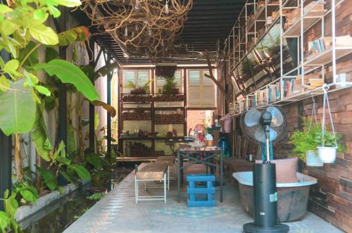 a room filled with lots of plants in a building at Uyen's House in Con Dao