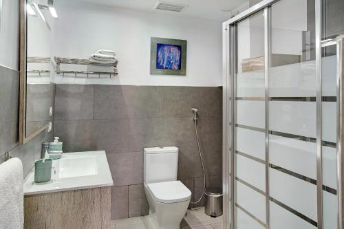 ein Badezimmer mit Toilette, Waschbecken und Dusche in der Unterkunft Apartamento Pedro in Puerto de Mogán