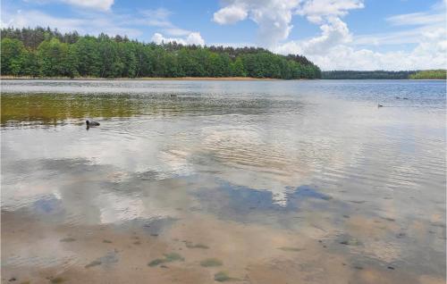 a lake with ducks swimming in the water at Pet Friendly Home In Wygon With Kitchen in Wygon