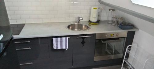 uma cozinha com um lavatório e uma bancada em appartement hypercentre Troyes em Troyes