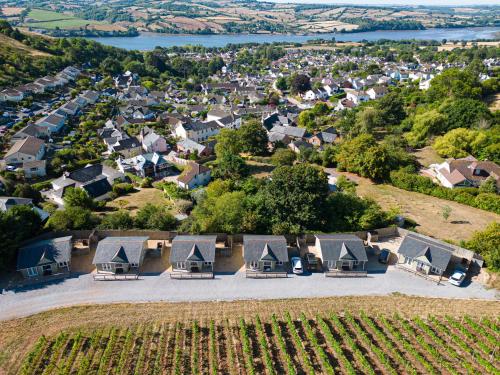 una vista aérea de un pueblo con casas y un viñedo en Old Walls Vineyard en Bishopsteignton