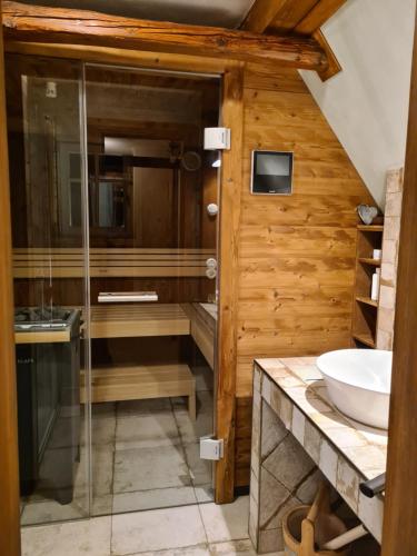 a bathroom with a glass shower and a sink at Am Waldessaum in Oybin