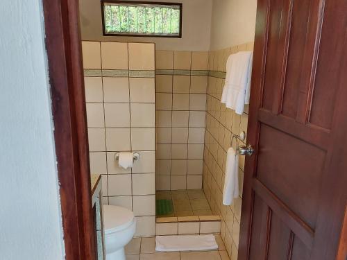 a bathroom with a toilet and a shower at Bungalows Sanlaz in Barrio Jesús