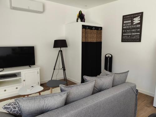 TV/Unterhaltungsangebot in der Unterkunft Gîte Les Piraudières