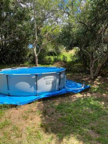a blue boat sitting on the grass next to trees at La casa del monte - Naturaleza y cielo nocturno in Villa Serrana