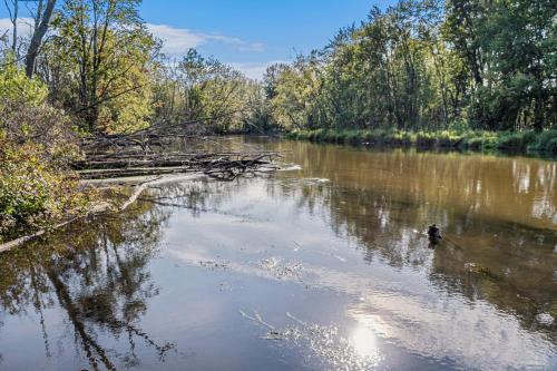a duck in the middle of a river at Hidden River Cabin in Frankfort