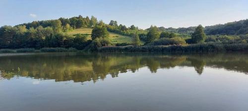 a view of a lake with trees in the background at Tó Kincse Vendégház in Kustánszeg