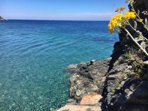 Φυσικό τοπίο κοντά σε αυτό το διαμέρισμα
