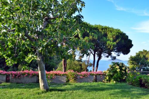 a garden with pink flowers and trees and the ocean at Casa del Mare - Oasi verde a soli 100m dal mare! in Marciana Marina